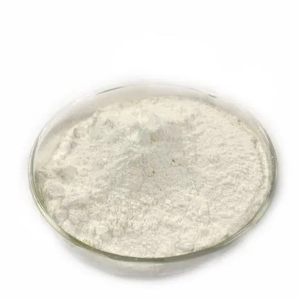 Rabara Accelerator EZ .